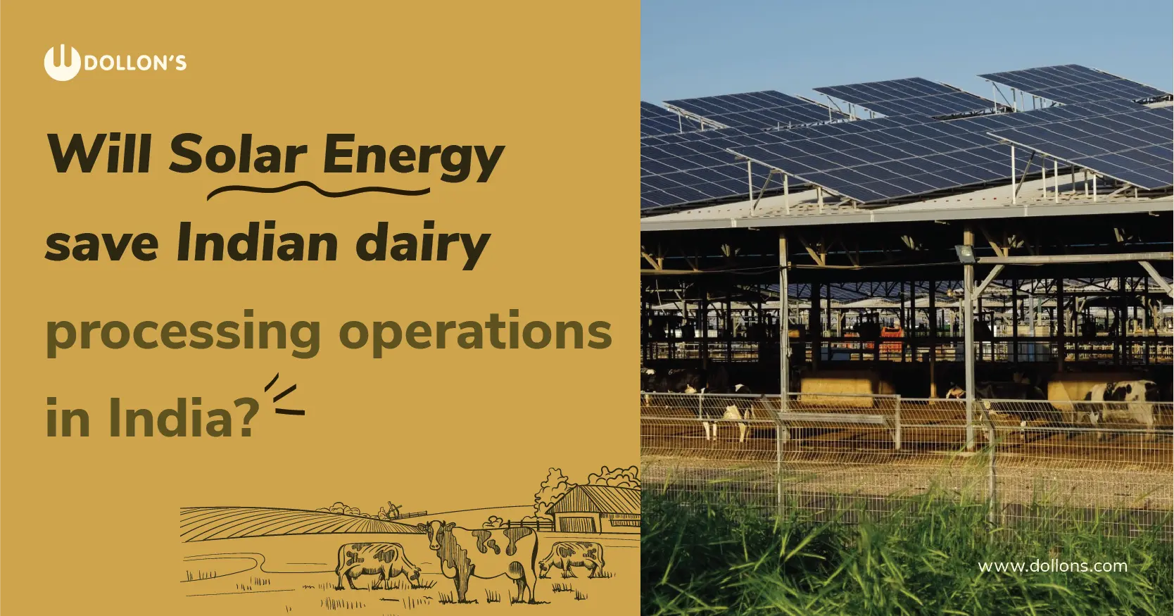 Will solar energy save dairy processing operations in India - Dollons